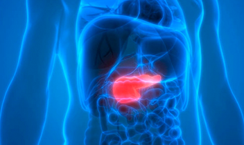 Entegre Dersler – Hepatopankreatikobiliyer Sistem