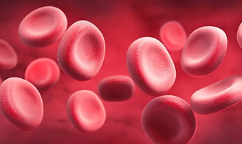 Entegre Dersler – Temel Hematoloji